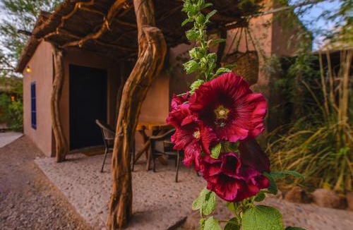 San Pedro de Atacama Cabin | Ckoi Atacama Lodge