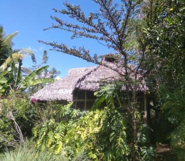 La Merced House | Cloud forest SAN CARLOS