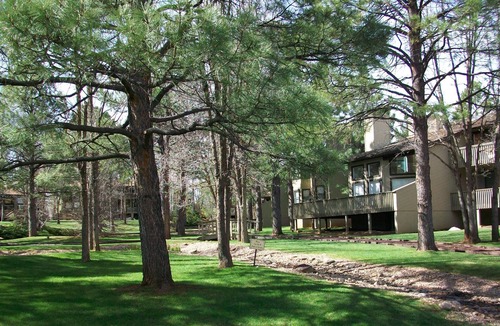 Pinetop Resort | Cool Pines get away