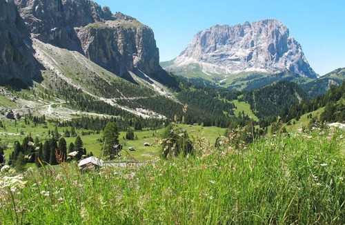 Santa Cristina Val Gardena Apartment | Cosy apartment for 4 guests with WIFI, TV, patio and parking