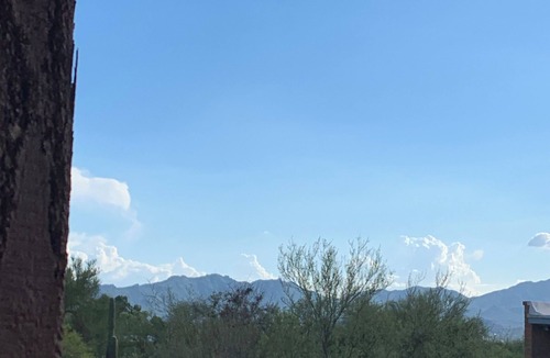 Oracle Heights Estates House | Cozy 1-bedroom bungalow in lovely Tucson.