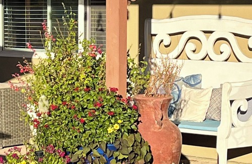 Oracle Heights Estates House | Cozy 1-bedroom bungalow in lovely Tucson.