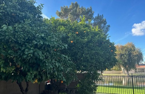 Sun Lakes Apartment | Cozy 1-bedroom studio with AC in charming Sun Lakes active adult community