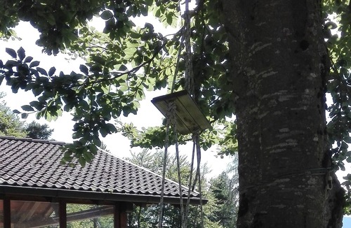 Lasino Apartment | Cozy cottage nestled in the quiet of nature