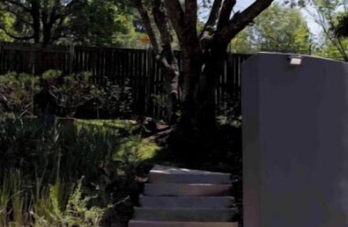 Kloof Apartment | Cozy & Stylish 1-Bedroom Studio Apartment