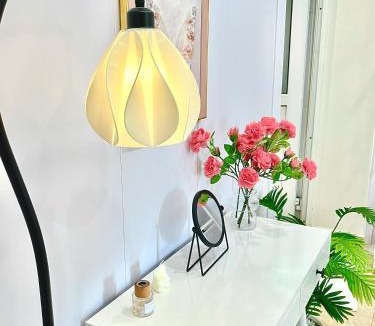 Thanh Khe House | Danang's house