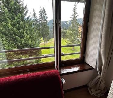 Campo Carlo Magno Apartment | Dolomiti - Trilocale tipico a 5 minuti dalle piste
