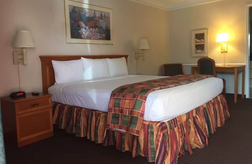 Barrio Hollywood Hotel | Downtown Tucson King Studio w/Pool