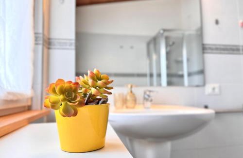 Dro Apartment | Drolive apartment