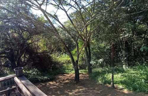 uMlalazi Bed & Breakfast | Eagles Nest Bed & Breakfast