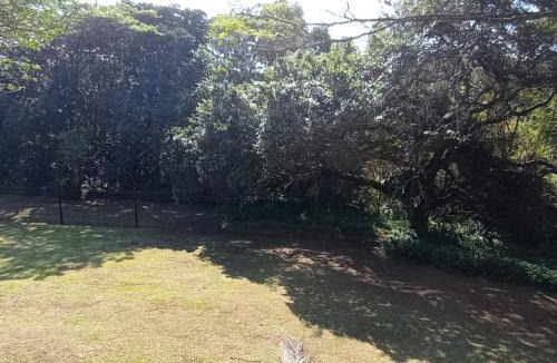 uMlalazi Bed & Breakfast | Eagles Nest Bed & Breakfast