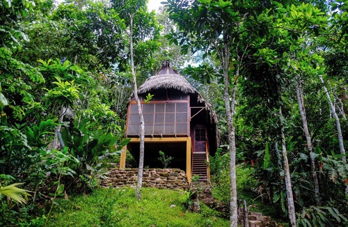 La Banda de Shilcayo House | Eco Residencia Shimiyacu - Lucuma house