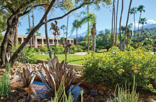 El Conquistador Resort | El Conquistador Tucson, A Hilton Resort