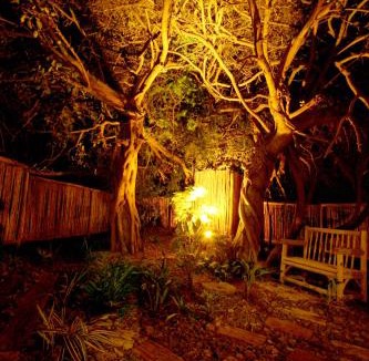 Hluhluwe Cabin | Emdoneni Lodge with Zululand Cat Conservation Project