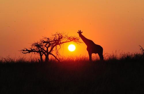 Ladysmith Cabin | Esiweni Luxury Safari Lodge