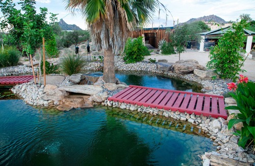 North Scottsdale House | Family-Friendly Beautiful Private Wellness Retreat/Desert Oasis