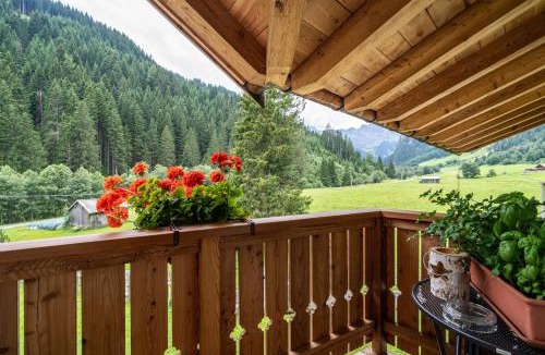 Racines Apartment | Ferienhaus Larch Soge Apt Paula