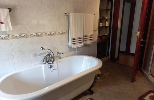 Kloof Bed & Breakfast | Forest Dream House