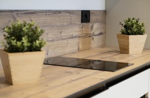 Trento Apartment | Garden Park Le Albere Trilocale con Balcone