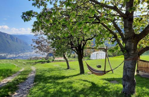 San Genesio Atesino House | Haflingerhof