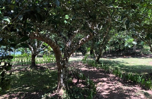 Sauce House | Hermosa casa de lujo en la selva, a orillas de la Laguna Azul.