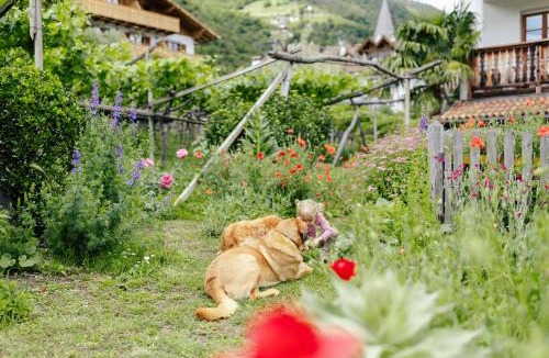 Lagundo House | Hofer am Bach
