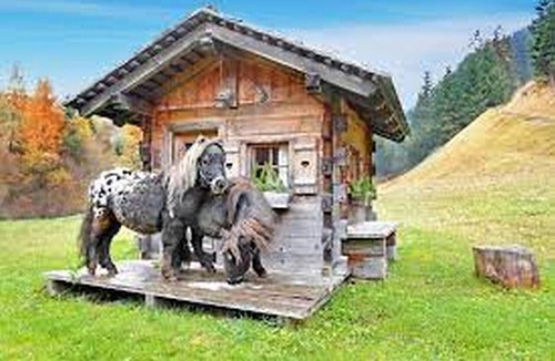Selva di Val Gardena Apartment | Holiday Apartment "Piciulei Pitl" with Mountain View, Garden, and Wi-Fi