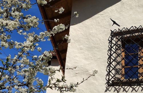 Tesimo Apartment | Holiday apartment in the newly restored, historic Lidl residence near Merano