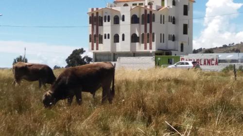 Puno House | Hostal Campestre Casa Blanca