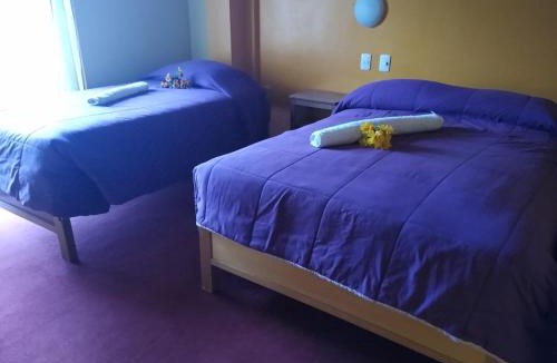 Puno Hotel | Hostal Lucky Puno