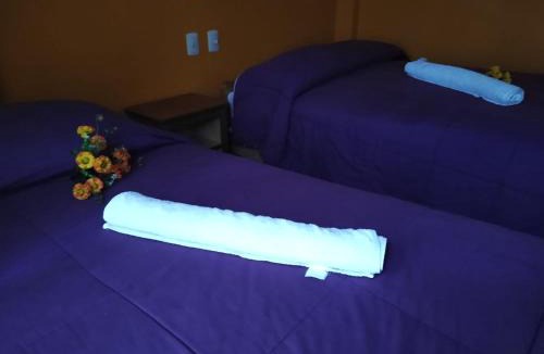 Puno Hotel | Hostal Lucky Puno