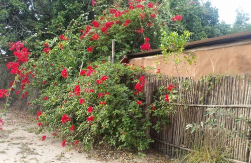 Manguzi Hostel | Hostel ∙ 40 guests