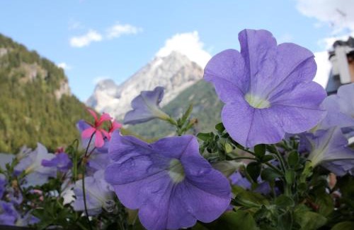 Alba Hotel | Hotel Alba Wellness & Spa