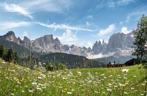 San Cipriano Hotel | Hotel Dosses