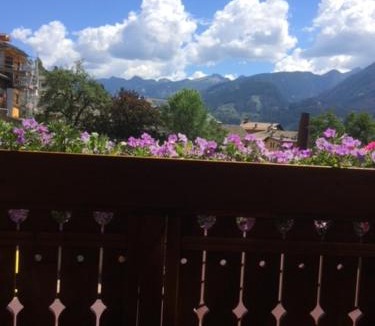 Cavalese Hotel | Hotel Garnì Salvanel
