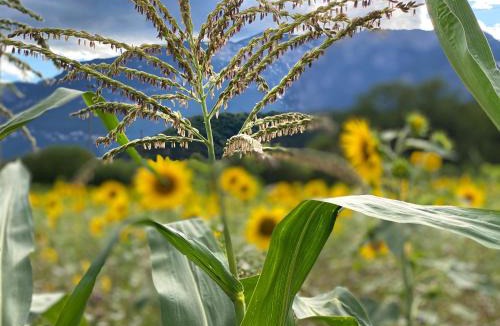 Ora Hotel | Hotel Garni Christin