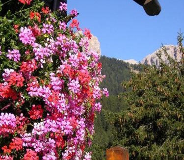 Vigo di Fassa Hotel | Hotel Gran Mugon