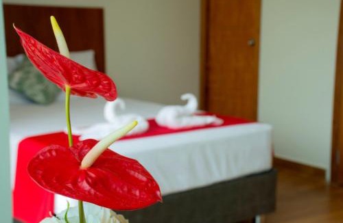 Tarapoto Hotel | HOTEL LA PALMERA DE ORO