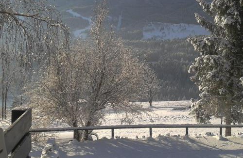 Cavalese Hotel | Hotel Panorama