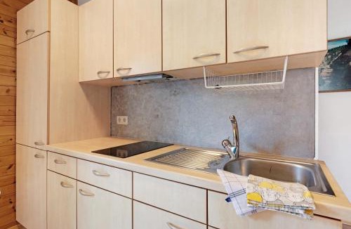 Aldino Apartment | Huanzhof Ferienwohnung Schwarzhorn