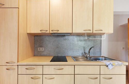Aldino Apartment | Huanzhof Ferienwohnung Schwarzhorn