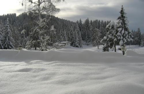 Sarnonico Hotel | Il Falchetto
