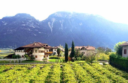 Magre sulla Strada del Vino Apartment | 42 m² Apartment ∙ 1 bedroom ∙ 4 guests