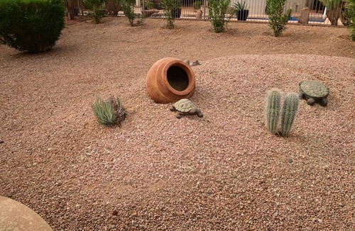 Desert Sage House | It’s AZ Time.Relax in a private heated pool, Golf, Spring Training, Hiking!
