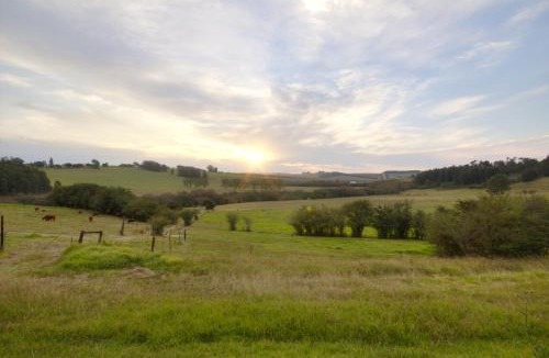 Rosetta House | Jolo Farm