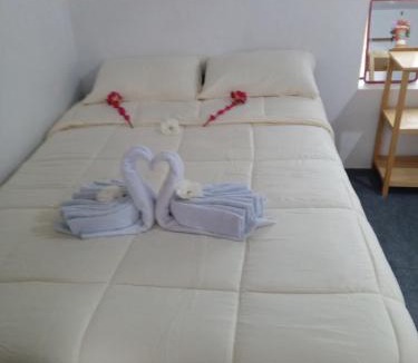 Ocosuyo Apartment | kaypi rosas wasi Amantani
