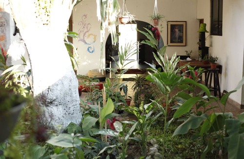 Tarapoto House | Kitara House vacation home x Day for up to 15 people in Tarapoto - Peru