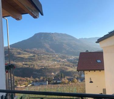 Martignano Apartment | L edera Gigante