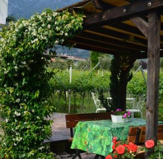 Bolognano-Vignole Apartment | La Casa nel Verde
