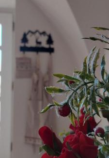 Montagnaga Apartment | La Fontana di Casa Bernardi, terrazzo Wi-Fi PetFriendly con Area Cani